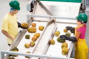 Panameños venden jugos en Europa