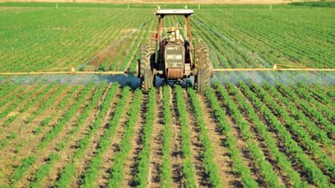 Crecerá la producción agraria y pesquera de América Latina