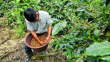 Buscan acabar con la deserción escolar