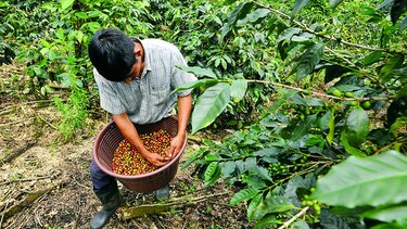 Buscan acabar con la deserción escolar