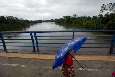 Banano, política y pobreza: la tormenta perfecta en Bocas