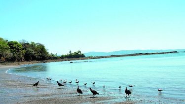 Avalan estudio sísmico marino