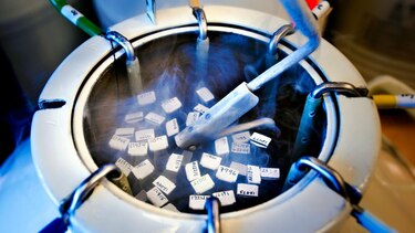 ‘Bebés vikingos’: por qué el esperma danés domina el mercado de las donaciones