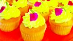 Cocina gourmet: Espera a tus invitados