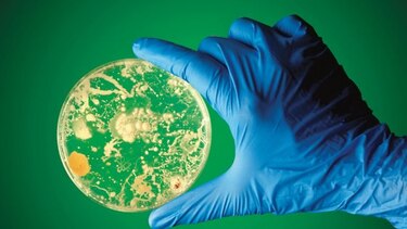 Superbacterias siguen resistiendo