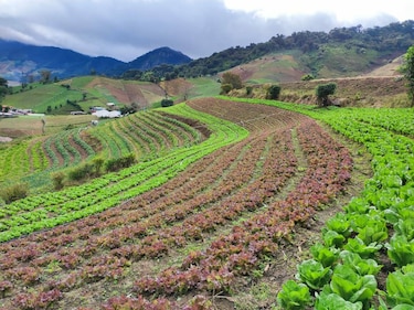 La agricultura confinada
