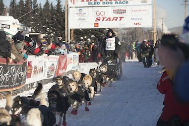 Dopaje empaña carrera de trineo tirado por perros