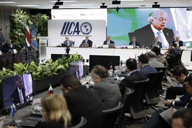 Un proyecto de agrícola del IICA beneficia a más de 4,000 productores centroamericanos