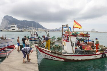 Piden a la Unión Europea frenar la pesca ilegal y unificar sanciones