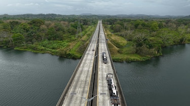 Naturgy refuerza el mantenimiento de la red con poda mecanizada