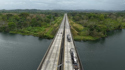 Naturgy refuerza el mantenimiento de la red con poda mecanizada