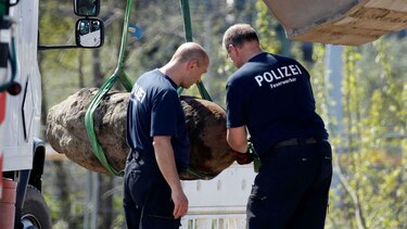 Evacuación masiva en Berlín para desactivar una bomba de la Segunda Guerra Mundial