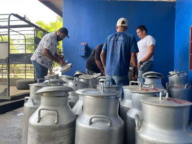 Leche con sello ‘Hecho en Panamá’, la propuesta que surgió del acuerdo entre Nestlé y el Gobierno para competir con los productores de imitación