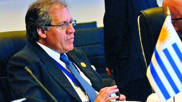 ‘CNE frena derecho constitucional’