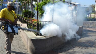 Se disparan casos de dengue y zika en Herrera