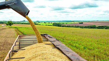 Soja sube impulsada por biocombustibles