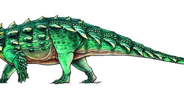 Dinosaurio recibe un nombre de ‘Cazafantasmas’