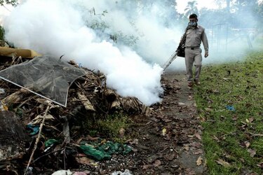 Minsa: 17 personas hospitalizadas bajo sospecha de dengue