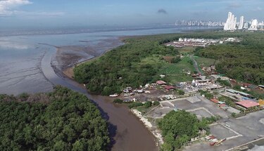 Exministro Emilio Sempris suspendió plan para humedal bahía de Panamá
