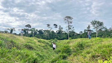 Las monumentales construcciones escondidas en la Amazonía recién descubiertas por científicos