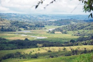 Guillermo Ferrufino acumula tierras y ganado