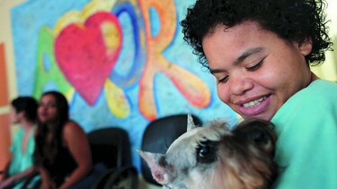 Una terapia con perros