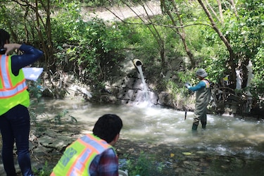 Río Pacora: identifican porquerizas y plantas sin permiso que contaminan el agua