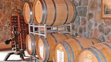 Los vinos de altura de Bolivia están a la conquista del mercado mundial