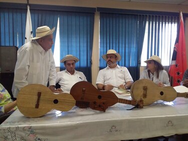 ‘Mejoraneros’ piden al Ministerio de Cultura ‘fortalecer’ el instrumento