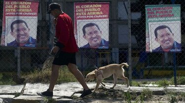 Alcalde en Caracas denuncia que están cazando perros, gatos y palomas para comérselos