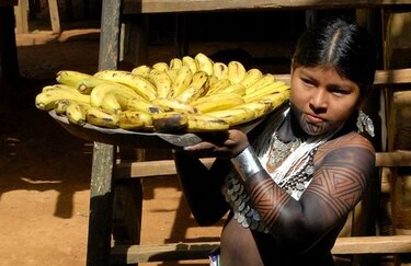 Festival por el Día Internacional de los Pueblos Indígenas rendirá tributo a la sazón étnica