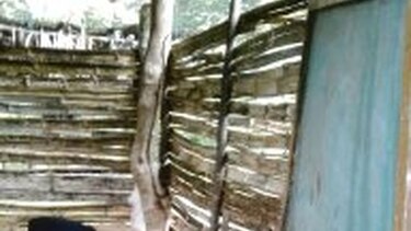 Poco interés por aulas rancho