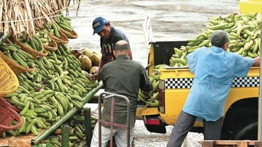 Vegetales, verduras y carnes impulsan alza de los alimentos