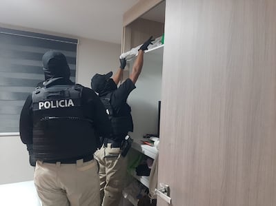 Red criminal desmantelada: 7 condenados por narcotráfico, tras la ‘Operación Jungla’