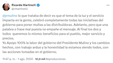 Un mes después del inicio del nuevo gobierno; ni Mulino es Martinelli ni Martinelli es Mulino