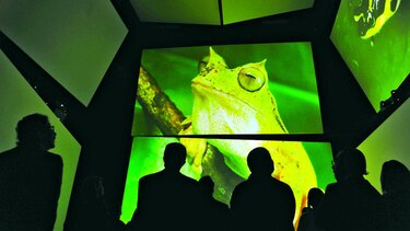 45 mil visitas al Biomuseo