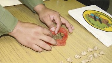 Vendedores de drogas reclutan a menores