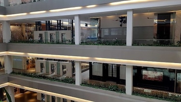 Soho Mall tendrá acceso al mercado estadounidense por 50 días más