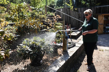 Cambio climático pone en jaque a horticultores