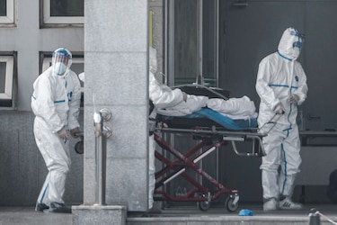 Misterioso virus en China, bajo análisis científico