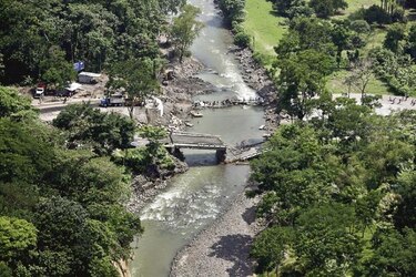 Guatemala pierde cada año 132 mil 137 hectáreas de bosques naturales