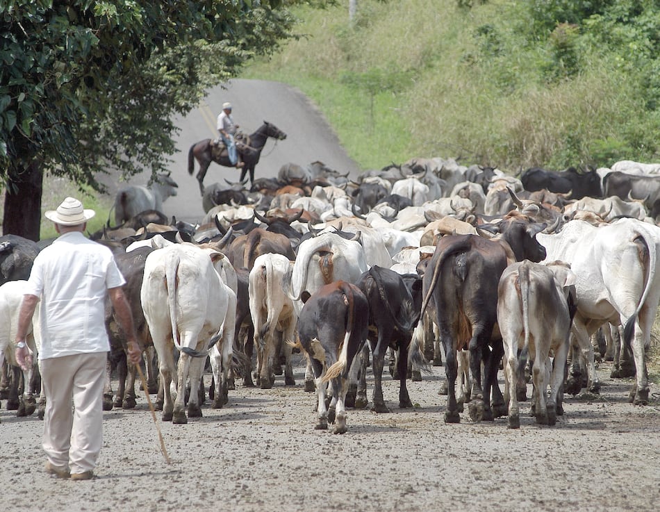 El diálogo es un ‘monólogo delirante’, dice el Conep
