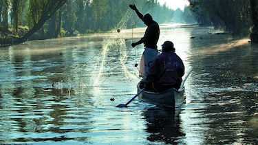 México prohíbe técnica de pesca