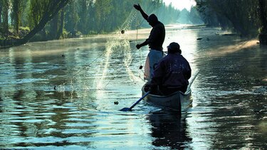 México prohíbe técnica de pesca