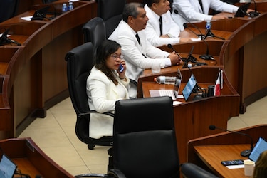 Patsy Lee: ‘No habrá independencia en la Asamblea con Shirley Castañedas’