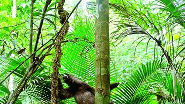 Cuando se libera la naturaleza