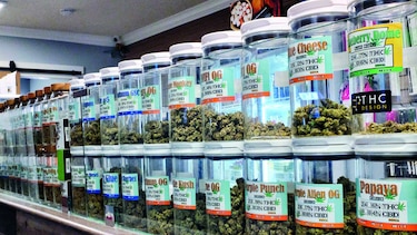Venden cannabis a través de la internet
