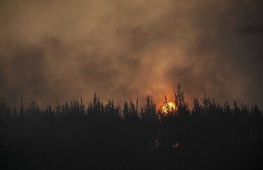Panamá envía 20 agentes para ayudar a combatir incendios en Chile