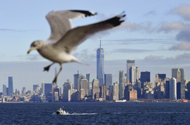 Apartamento en Manhattan se vendió con rebaja de 51%