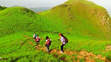 Camino a la cima